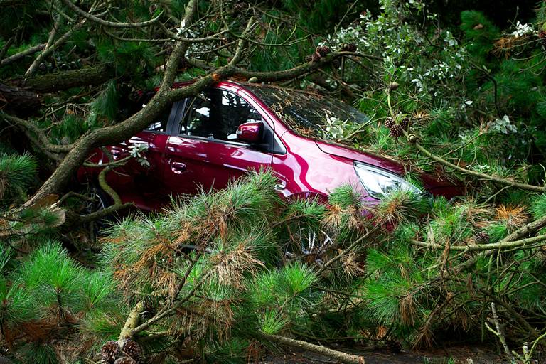 stormschade-aan-je-auto-wordt-die-vergoed-2020-06